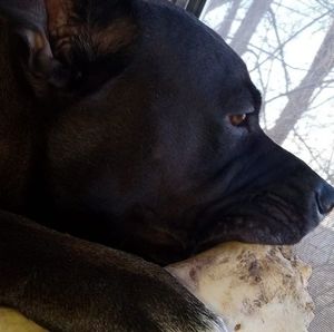 Meet your Posher, Delray